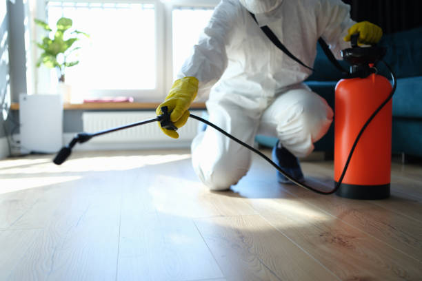 Reliable Odor Removal contractor in West Columbia, SC by Trauma Clean Pros
